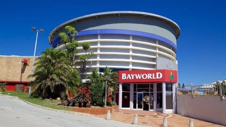 Bayworld museum and oceanarium is perfect for aquamarine experiences with the family when visiting Port Elizabeth