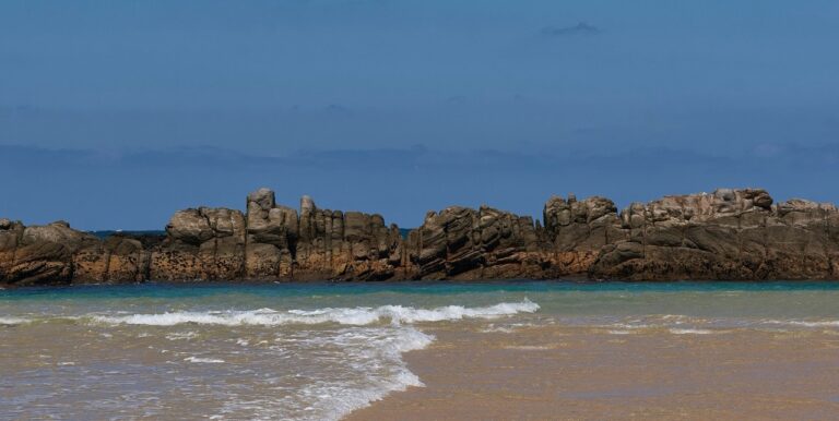 Sacramento Hiking Trails runs along the coastline from Sardinia Bay to Schoenmakerskop and is a great choice for anyone who wants enjoy the outdoors while visiting Port Elizabeth