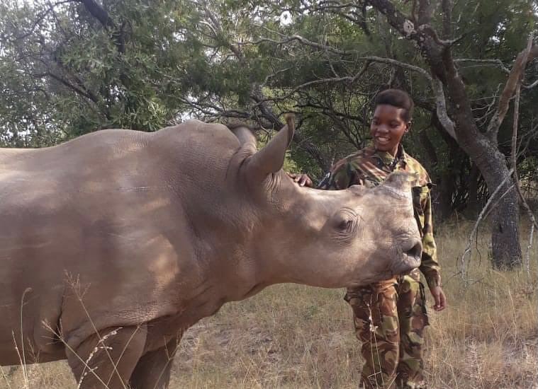 Anti-poaching work forms a major part of ecotourism-driven conservation in South Africa.