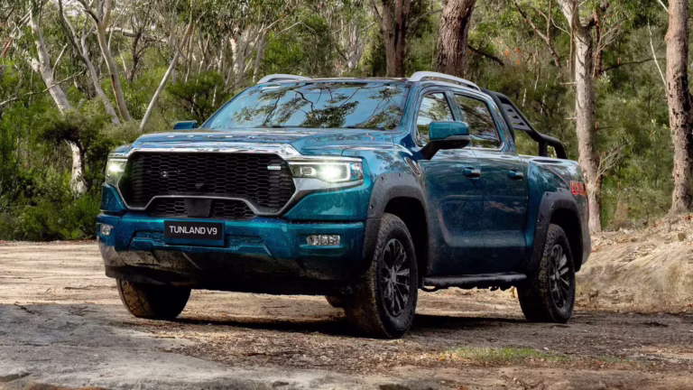 Foton Bakkie