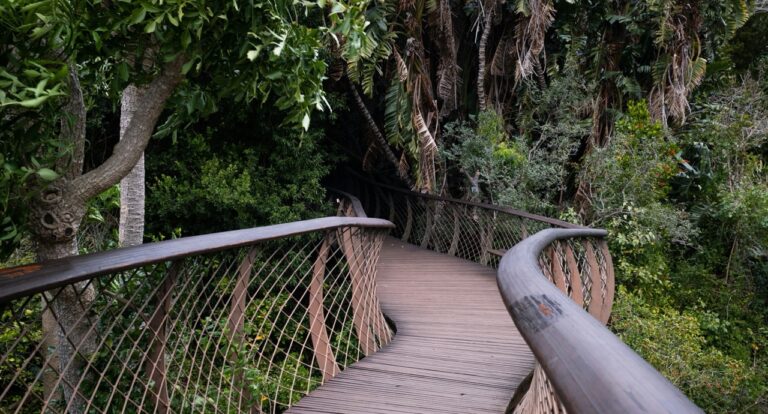 Floral conservation in South Africa
